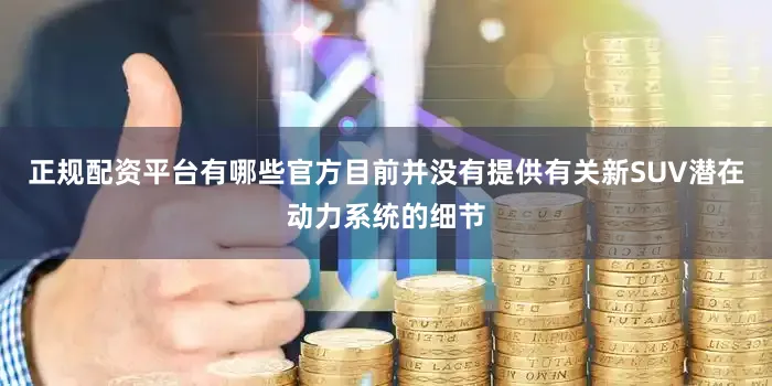 正规配资平台有哪些官方目前并没有提供有关新SUV潜在动力系统的细节