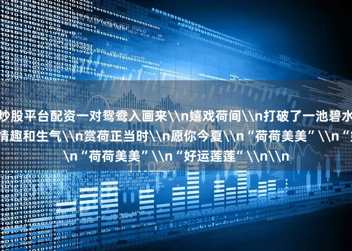 炒股平台配资一对鸳鸯入画来\n嬉戏荷间\n打破了一池碧水的宁静\n增添了情趣和生气\n赏荷正当时\n愿你今夏\n“荷荷美美”\n“好运莲莲”\n\n